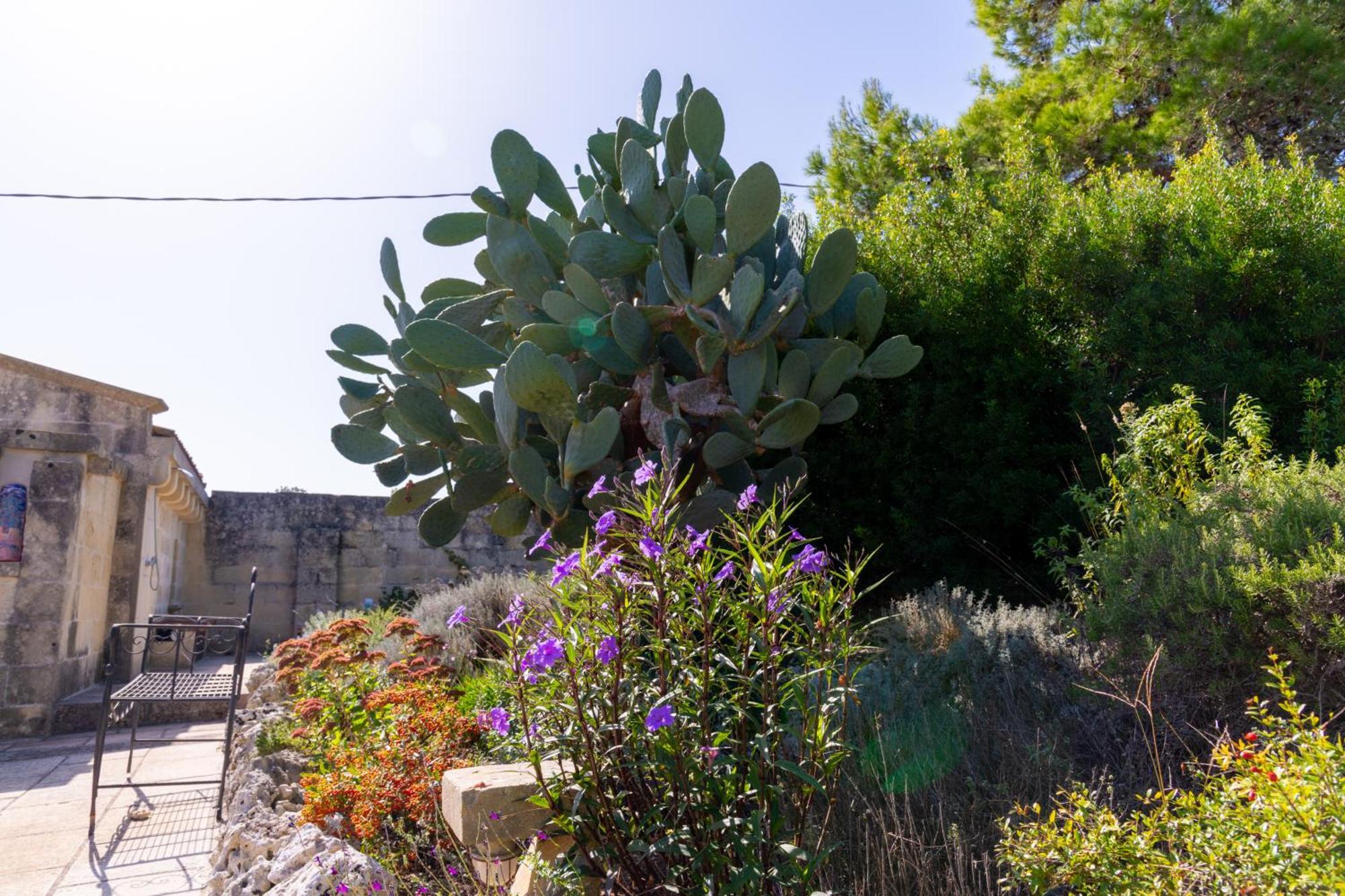 Masseria Caliani Borgagne Exterior photo